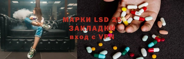 сатива Осинники