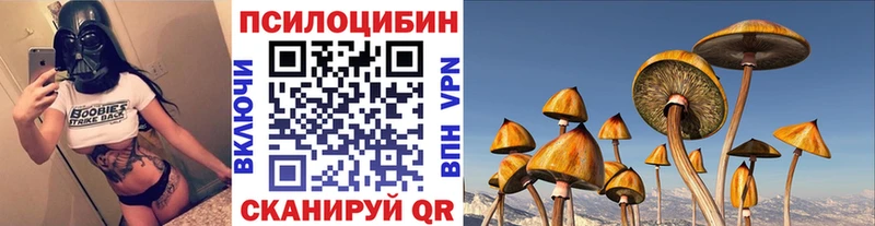 продажа наркотиков  mega сайт  Галлюциногенные грибы GOLDEN TEACHER  Грязовец 